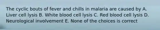 The cyclic bouts of fever and chills in malaria are caused by A. Liver cell lysis B. White blood cell lysis C. Red blood cell lysis D. Neurological involvement E. None of the choices is correct