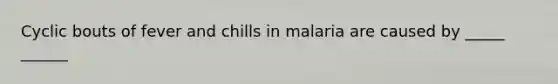 Cyclic bouts of fever and chills in malaria are caused by _____ ______