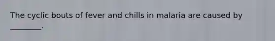 The cyclic bouts of fever and chills in malaria are caused by ________.