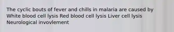 The cyclic bouts of fever and chills in malaria are caused by White blood cell lysis Red blood cell lysis Liver cell lysis Neurological invovlement