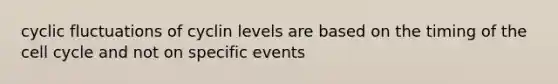 cyclic fluctuations of cyclin levels are based on the timing of the cell cycle and not on specific events