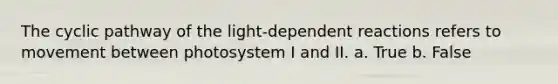 The cyclic pathway of the light-dependent reactions refers to movement between photosystem I and II. a. True b. False