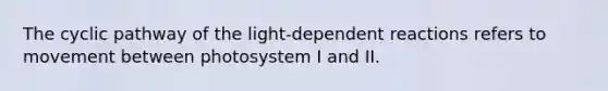 The cyclic pathway of the light-dependent reactions refers to movement between photosystem I and II.