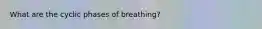 What are the cyclic phases of breathing?