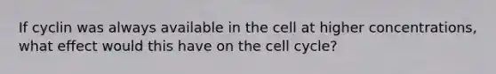 If cyclin was always available in the cell at higher concentrations, what effect would this have on the cell cycle?