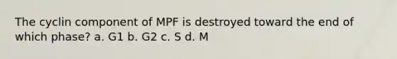 The cyclin component of MPF is destroyed toward the end of which phase? a. G1 b. G2 c. S d. M