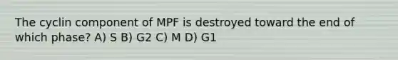 The cyclin component of MPF is destroyed toward the end of which phase? A) S B) G2 C) M D) G1