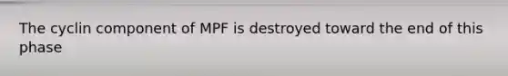 The cyclin component of MPF is destroyed toward the end of this phase