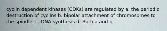 cyclin dependent kinases (CDKs) are regulated by a. the periodic destruction of cyclins b. bipolar attachment of chromosomes to the spindle. c. DNA synthesis d. Both a and b