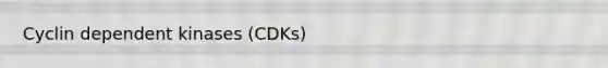 Cyclin dependent kinases (CDKs)