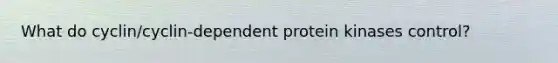 What do cyclin/cyclin-dependent protein kinases control?
