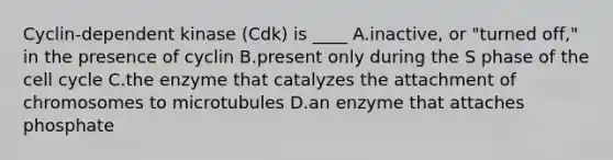 Cyclin-dependent kinase (Cdk) is ____ A.inactive, or "turned off," in the presence of cyclin B.present only during the S phase of the cell cycle C.the enzyme that catalyzes the attachment of chromosomes to microtubules D.an enzyme that attaches phosphate