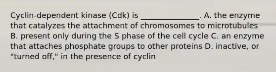 Cyclin-dependent kinase (Cdk) is _______________. A. the enzyme that catalyzes the attachment of chromosomes to microtubules B. present only during the S phase of the cell cycle C. an enzyme that attaches phosphate groups to other proteins D. inactive, or "turned off," in the presence of cyclin