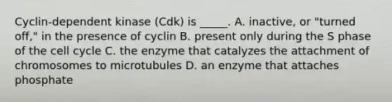 Cyclin-dependent kinase (Cdk) is _____. A. inactive, or "turned off," in the presence of cyclin B. present only during the S phase of the cell cycle C. the enzyme that catalyzes the attachment of chromosomes to microtubules D. an enzyme that attaches phosphate