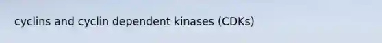 cyclins and cyclin dependent kinases (CDKs)