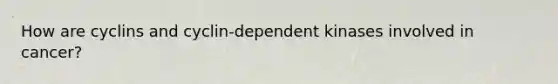 How are cyclins and cyclin-dependent kinases involved in cancer?