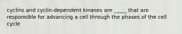 cyclins and cyclin-dependent kinases are _____ that are responsible for advancing a cell through the phases of the cell cycle