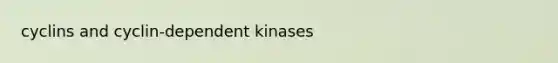 cyclins and cyclin-dependent kinases