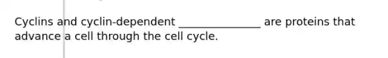 Cyclins and cyclin-dependent _______________ are proteins that advance a cell through the cell cycle.