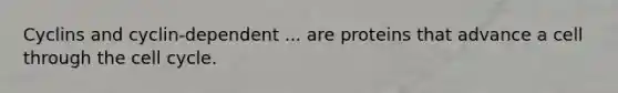 Cyclins and cyclin-dependent ... are proteins that advance a cell through the cell cycle.