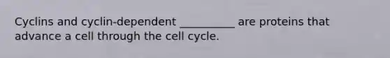 Cyclins and cyclin-dependent __________ are proteins that advance a cell through the cell cycle.