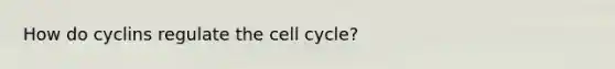 How do cyclins regulate the cell cycle?