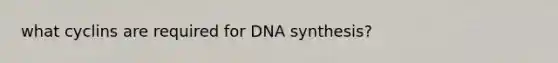 what cyclins are required for DNA synthesis?