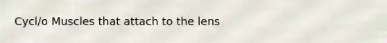 Cycl/o Muscles that attach to the lens