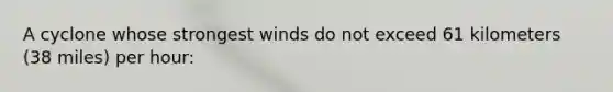 A cyclone whose strongest winds do not exceed 61 kilometers (38 miles) per hour: