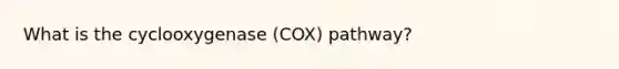 What is the cyclooxygenase (COX) pathway?