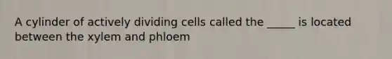 A cylinder of actively dividing cells called the _____ is located between the xylem and phloem