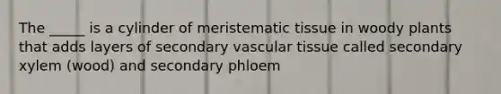 The _____ is a cylinder of <a href='https://www.questionai.com/knowledge/kh2R1rHa5M-meristematic-tissue' class='anchor-knowledge'>meristematic tissue</a> in woody plants that adds layers of secondary <a href='https://www.questionai.com/knowledge/k1HVFq17mo-vascular-tissue' class='anchor-knowledge'>vascular tissue</a> called secondary xylem (wood) and secondary phloem