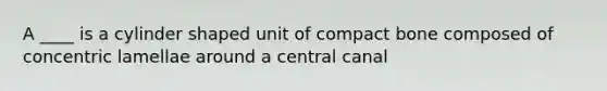 A ____ is a cylinder shaped unit of compact bone composed of concentric lamellae around a central canal