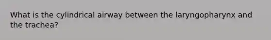 What is the cylindrical airway between the laryngopharynx and the trachea​?