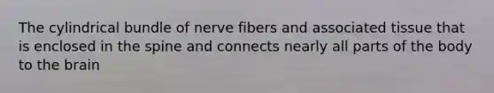 The cylindrical bundle of nerve fibers and associated tissue that is enclosed in the spine and connects nearly all parts of the body to the brain