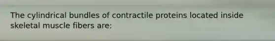 The cylindrical bundles of contractile proteins located inside skeletal muscle fibers are: