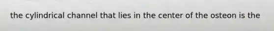 the cylindrical channel that lies in the center of the osteon is the