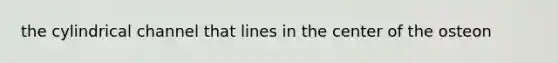 the cylindrical channel that lines in the center of the osteon