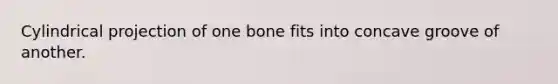 Cylindrical projection of one bone fits into concave groove of another.