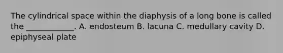 The cylindrical space within the diaphysis of a long bone is called the ____________. A. endosteum B. lacuna C. medullary cavity D. epiphyseal plate