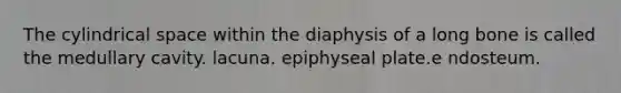 The cylindrical space within the diaphysis of a long bone is called the medullary cavity. lacuna. epiphyseal plate.e ndosteum.