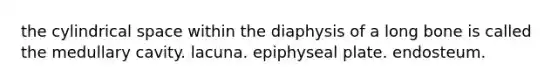 the cylindrical space within the diaphysis of a long bone is called the medullary cavity. lacuna. epiphyseal plate. endosteum.