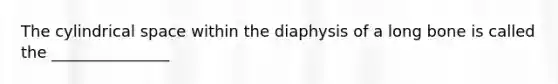 The cylindrical space within the diaphysis of a long bone is called the _______________