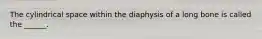 The cylindrical space within the diaphysis of a long bone is called the ______.