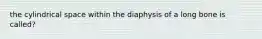 the cylindrical space within the diaphysis of a long bone is called?