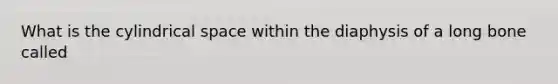 What is the cylindrical space within the diaphysis of a long bone called