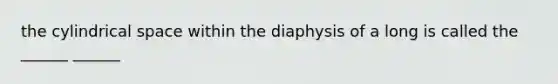 the cylindrical space within the diaphysis of a long is called the ______ ______