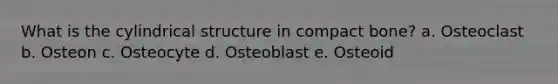 What is the cylindrical structure in compact bone? a. Osteoclast b. Osteon c. Osteocyte d. Osteoblast e. Osteoid