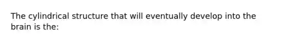 The cylindrical structure that will eventually develop into <a href='https://www.questionai.com/knowledge/kLMtJeqKp6-the-brain' class='anchor-knowledge'>the brain</a> is the: