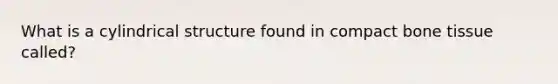 What is a cylindrical structure found in compact bone tissue called?